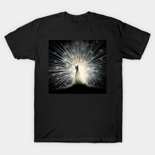 White Peacock T-Shirt